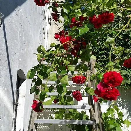 Ferie Lejligheden Landlyst Appartement Rødvig